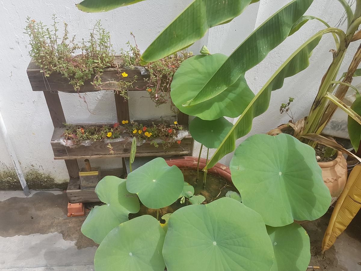 La La House Homestay ニャチャン エクステリア 写真