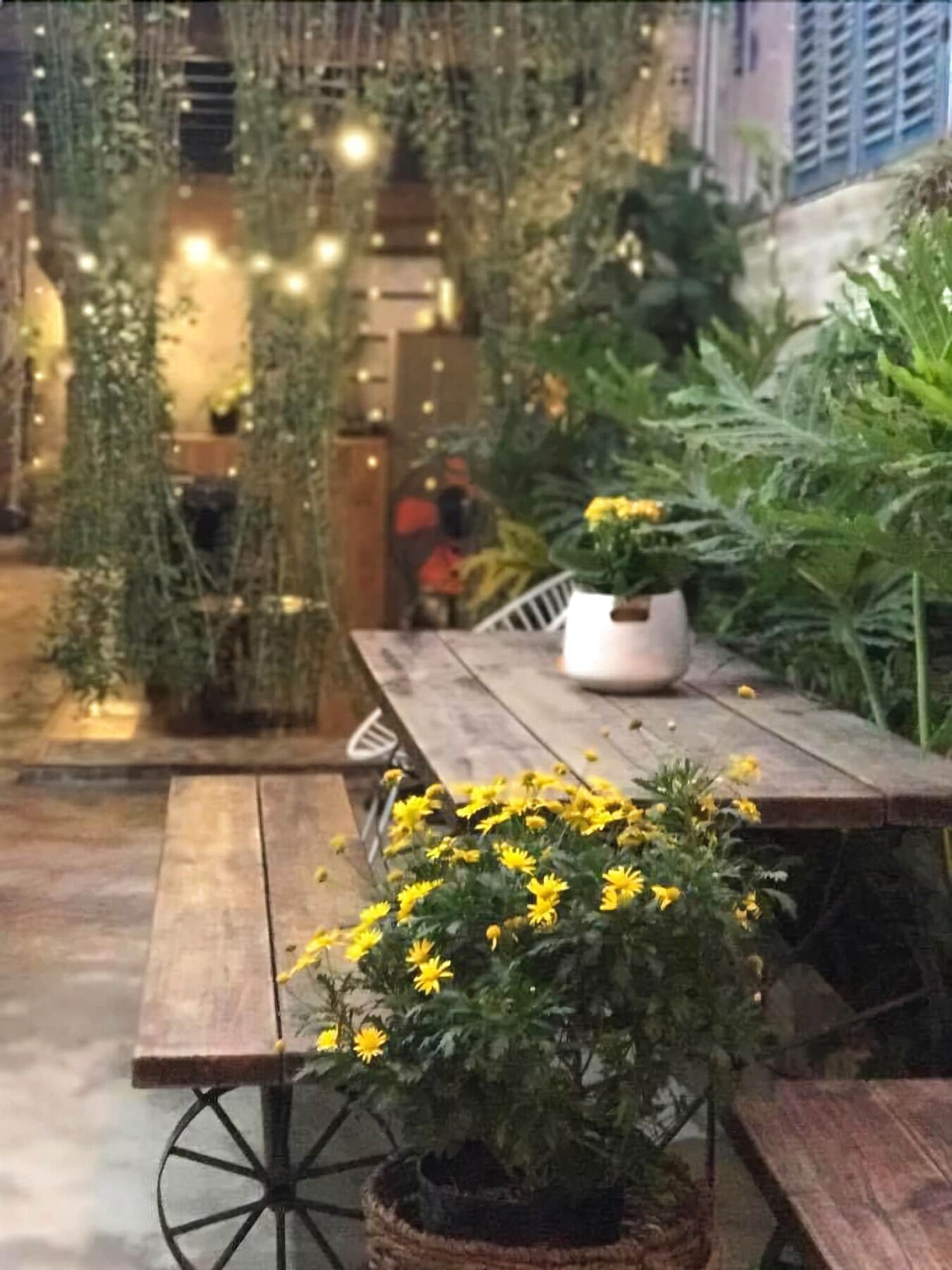 La La House Homestay ニャチャン エクステリア 写真